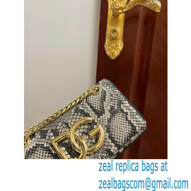 Dolce  &  Gabbana Calfskin 3.5 Chain phone bag Python Print